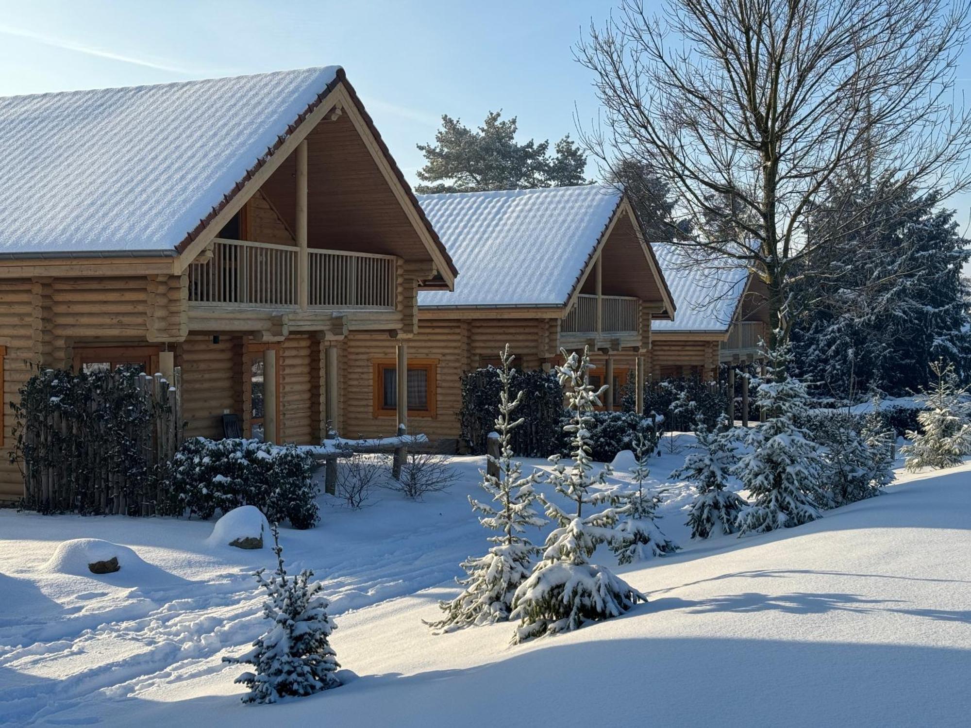 Boomstamhuis High Chaparral Oorsbeek Dış mekan fotoğraf
